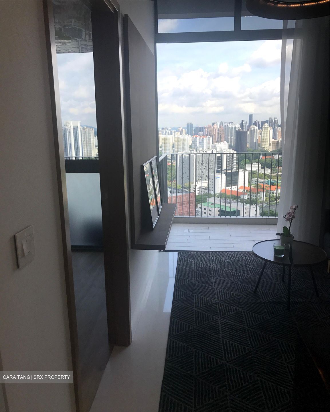 Spottiswoode Suites (D2), Apartment #544912691
